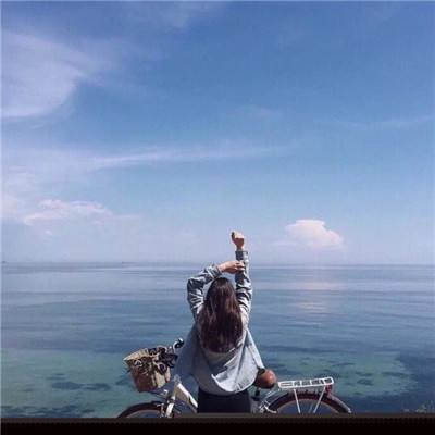 半岛·综合下载手机版